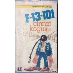 F-13-101 Cinnet Koğuşu