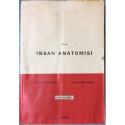 Kısa İnsan Anatomisi