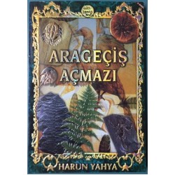 Arageçiş Açmazı