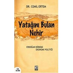 Yatağını Bulan Nehir