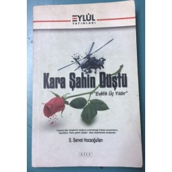 Kara Şahin Düştü