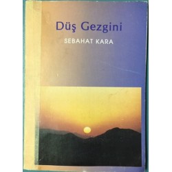 Düş Gezgini