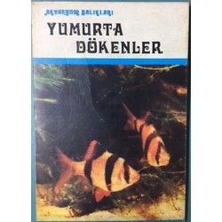 Akvaryum Balıkları Yumurta Dökenler